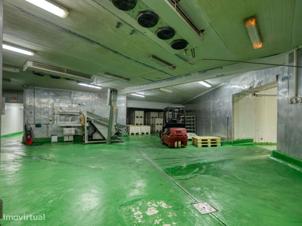 Armazém Industrial de Carnes Fábrica de Enchidos/Charcutaria no Cen... - Grande imagem: 4/60
