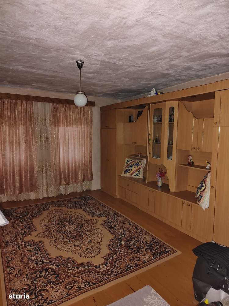 De vanzare Casa cu 3 camere si 2 parcele de teren comasate in Crai Nou-6