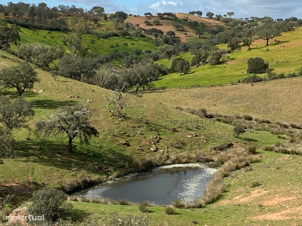 Terreno Rustico com cerca de sete hec...