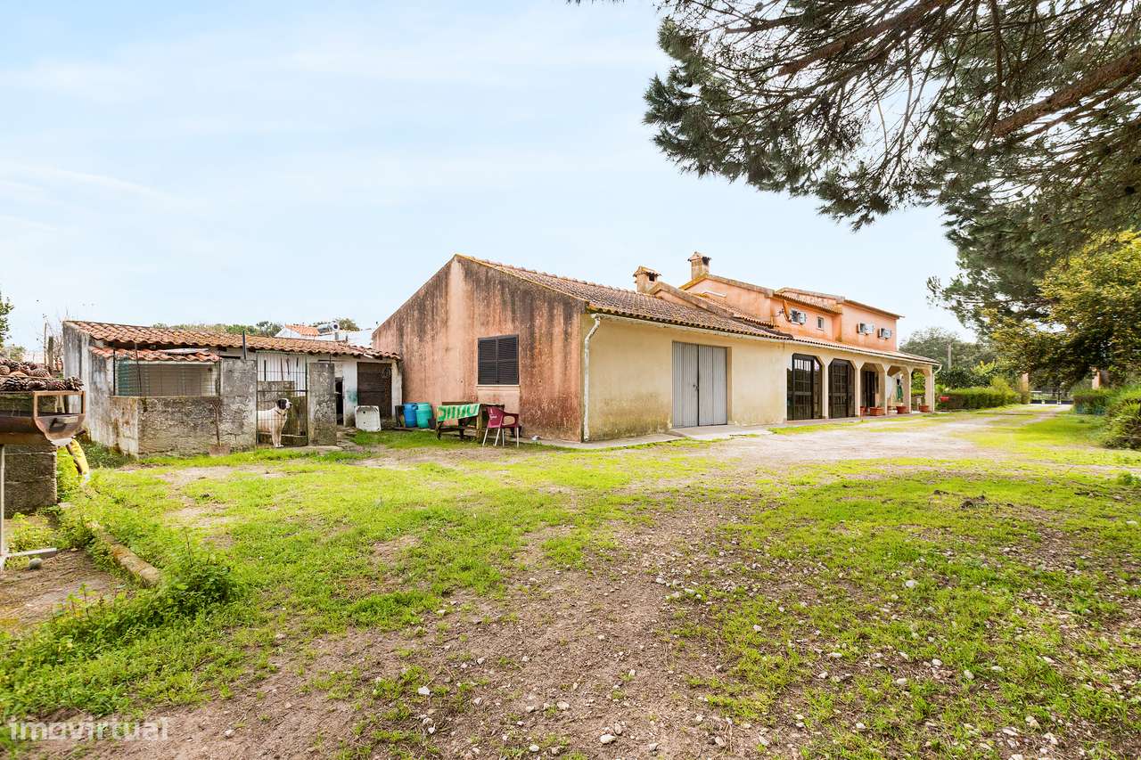 Quinta de 5.000m2 com moradia-14