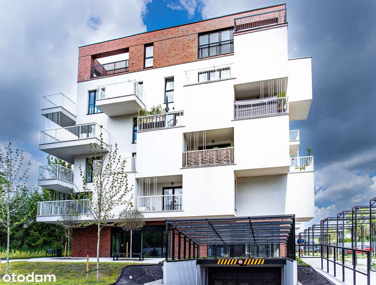 Sielec Renarda etap II-9