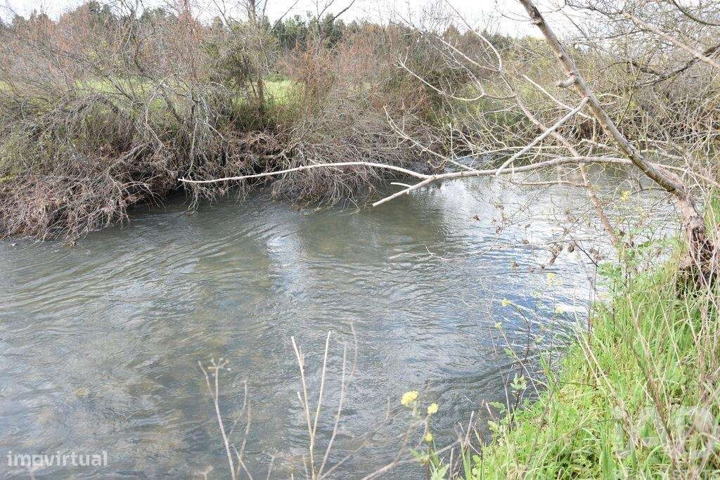 Terreno em Freixianda, Ribeira do Fárrio e Formigais de 6021,00 m2 - Grande imagem: 4/26
