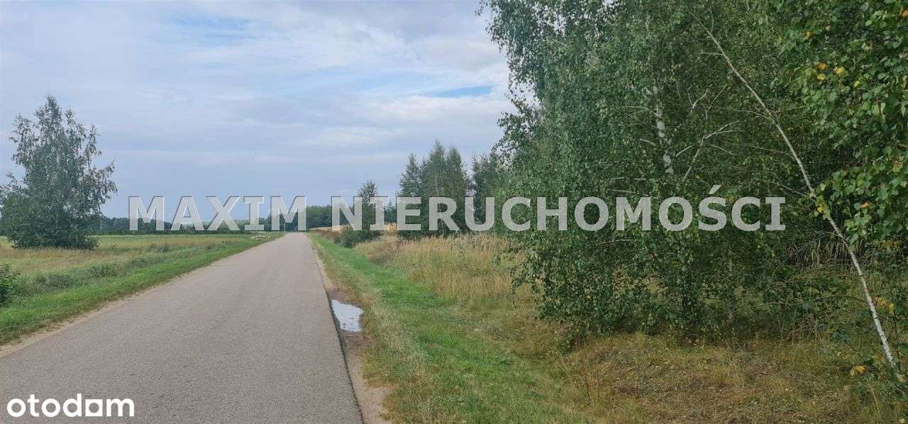 Działki z Wz w Michałowo gm Naruszewo k/Płońska - Pełny obrazek: 4/11