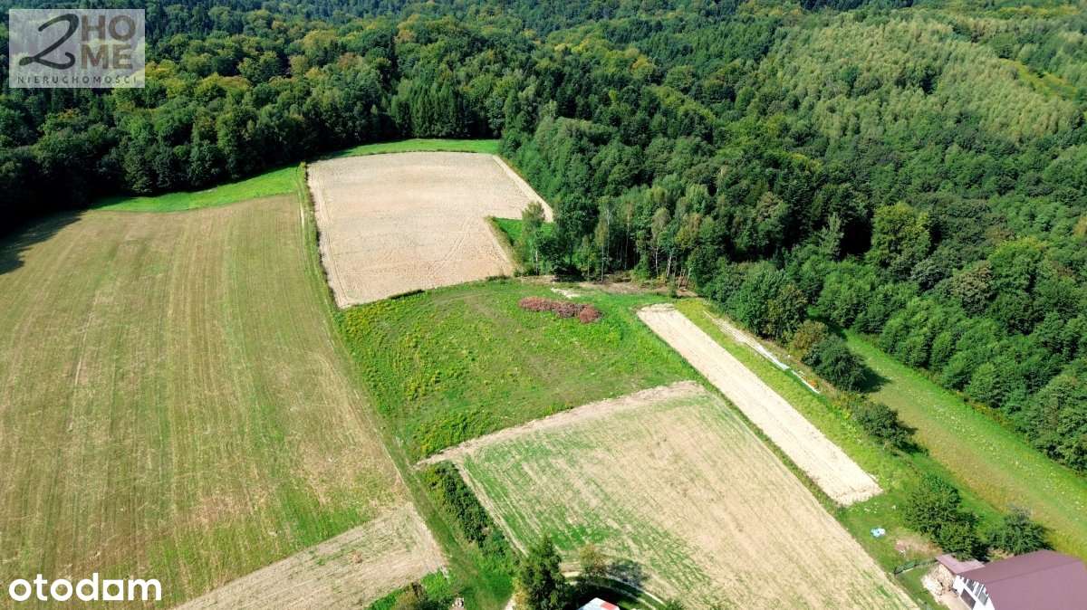 Twój kawałek spokoju - 38 arów w Gębiczynie-10