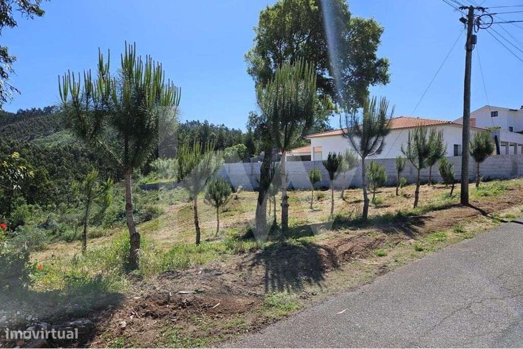 Terreno | Viabilidade de construção | 2.318 m2 | Boa exposição solar - Grande imagem: 2/13