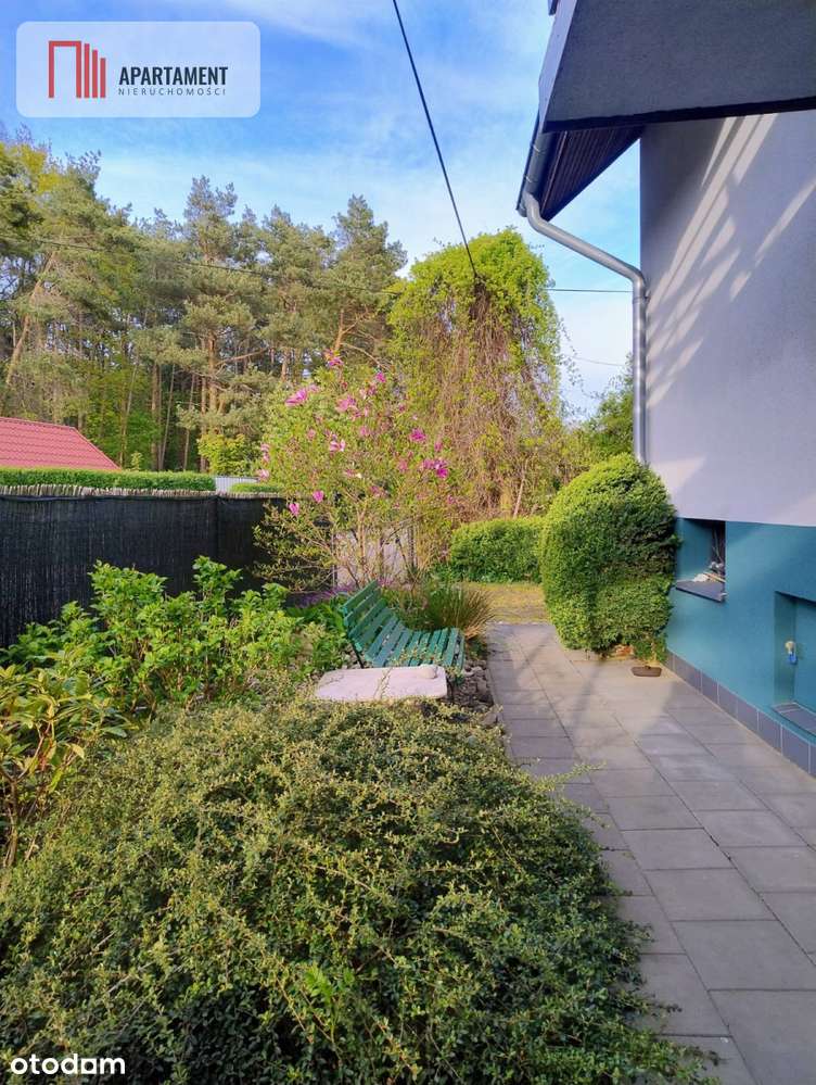 Dom inwestycja 80 m od morza - Pełny obrazek: 5/18