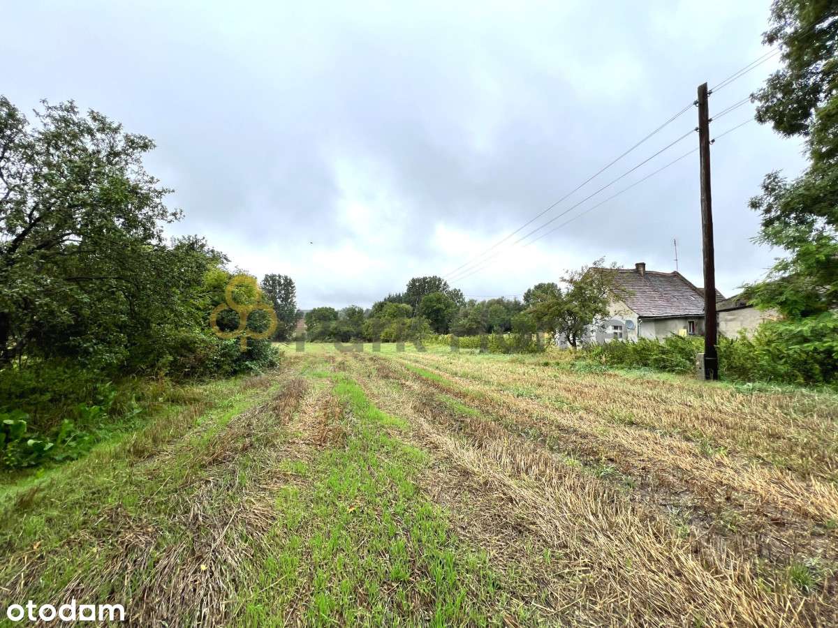 Działka budowlana, 1600m2, blisko media - Pełny obrazek: 2/3