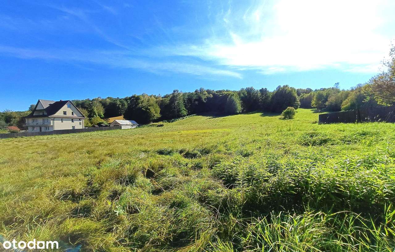 Działki na Roztoczu - Bondyrz-12