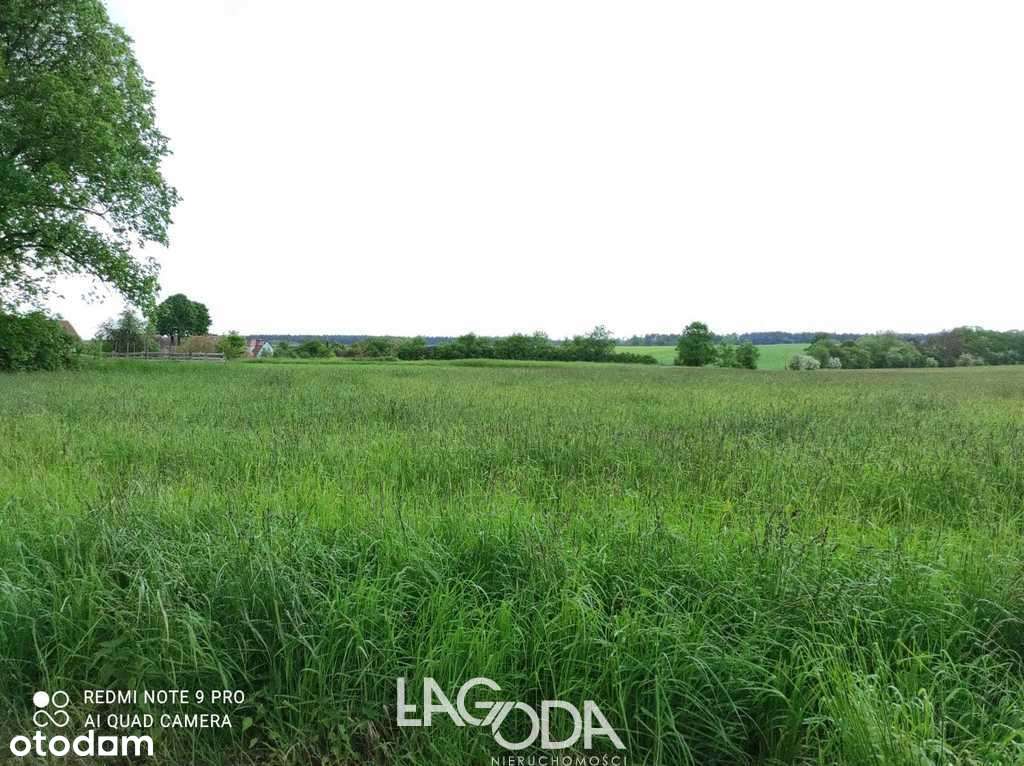 Duża działka budowlana w Świniarach. - Pełny obrazek: 4/5