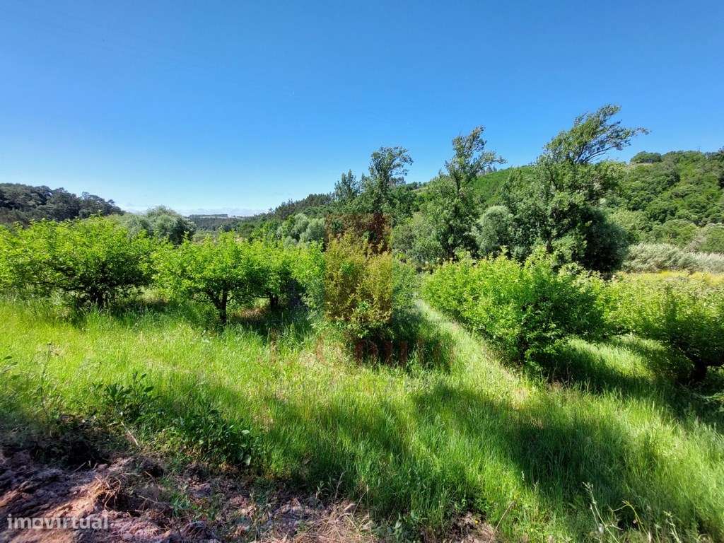 Terreno Rústico com 5.900 m² junto ao Rio Arnóia-6