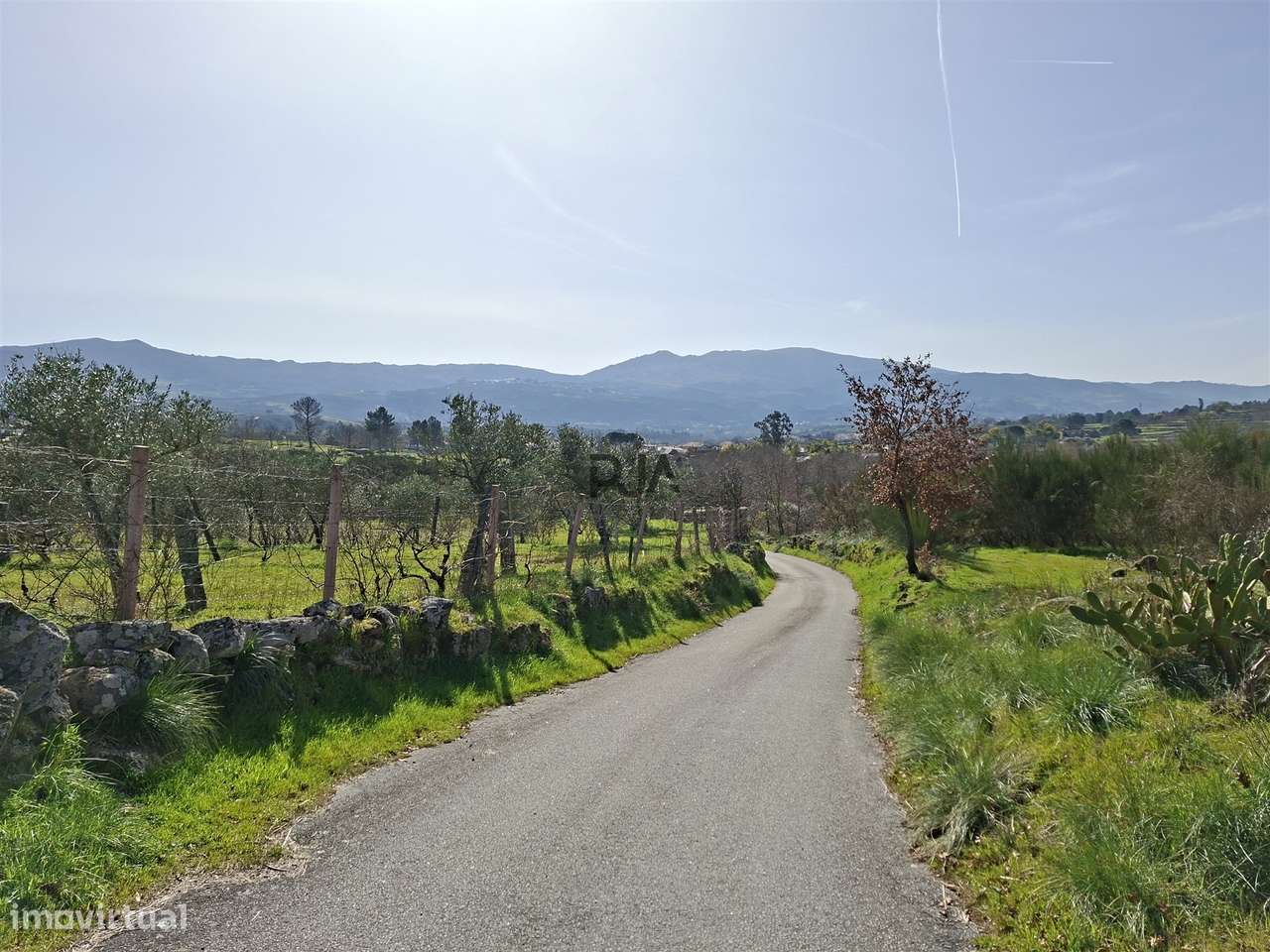 Quinta com 2Ha em Vila Cortês da Serra, Gouveia - Grande imagem: 5/25