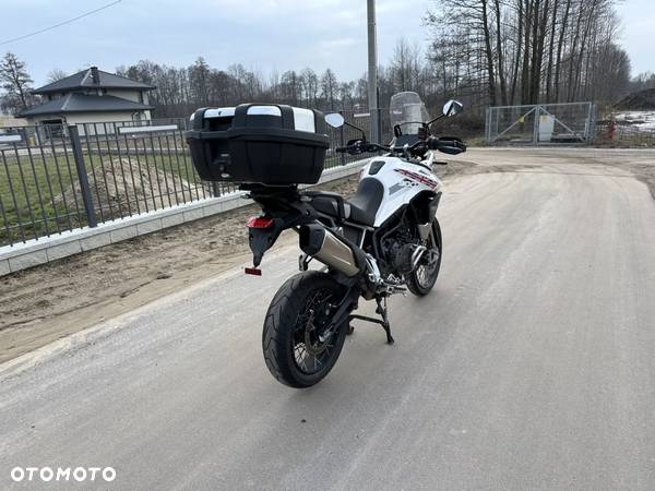 Triumph Tiger - 15