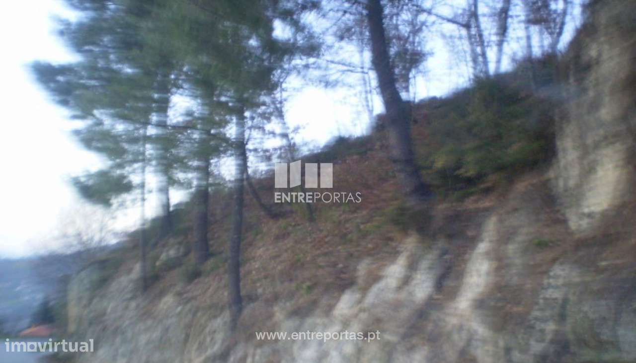 Venda Terreno, Soalhães, Marco de Canaveses - Grande imagem: 5/12