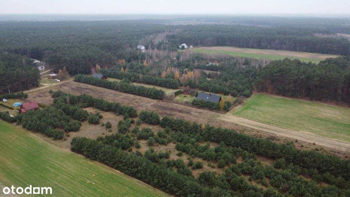 Działka budowlana z lasem - Pełny obrazek: 5/20