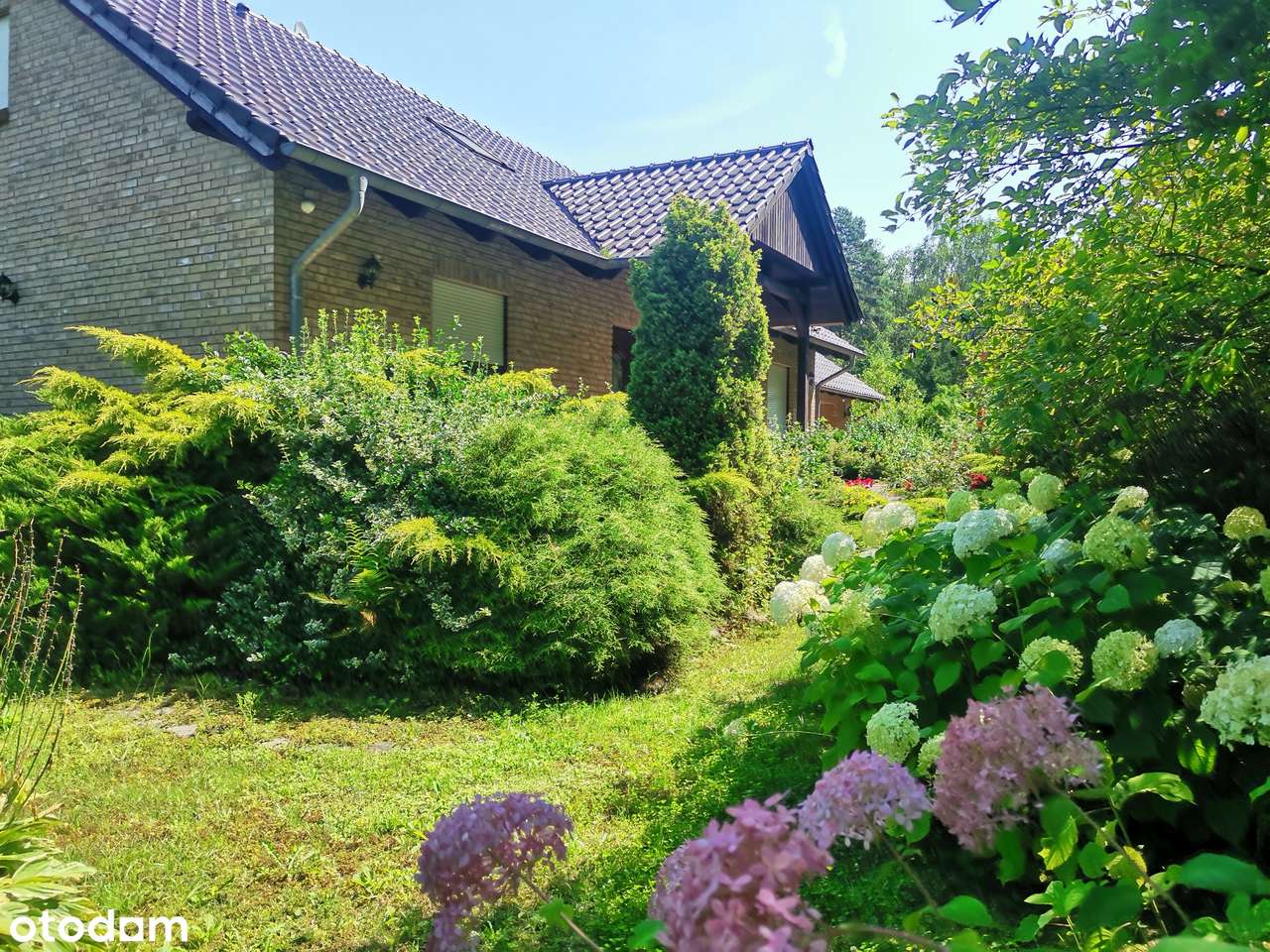 Stylowy i przytulny dom w zielonym zakątku. Cena do negocjacji Buczyna - Pełny obrazek: 4/20