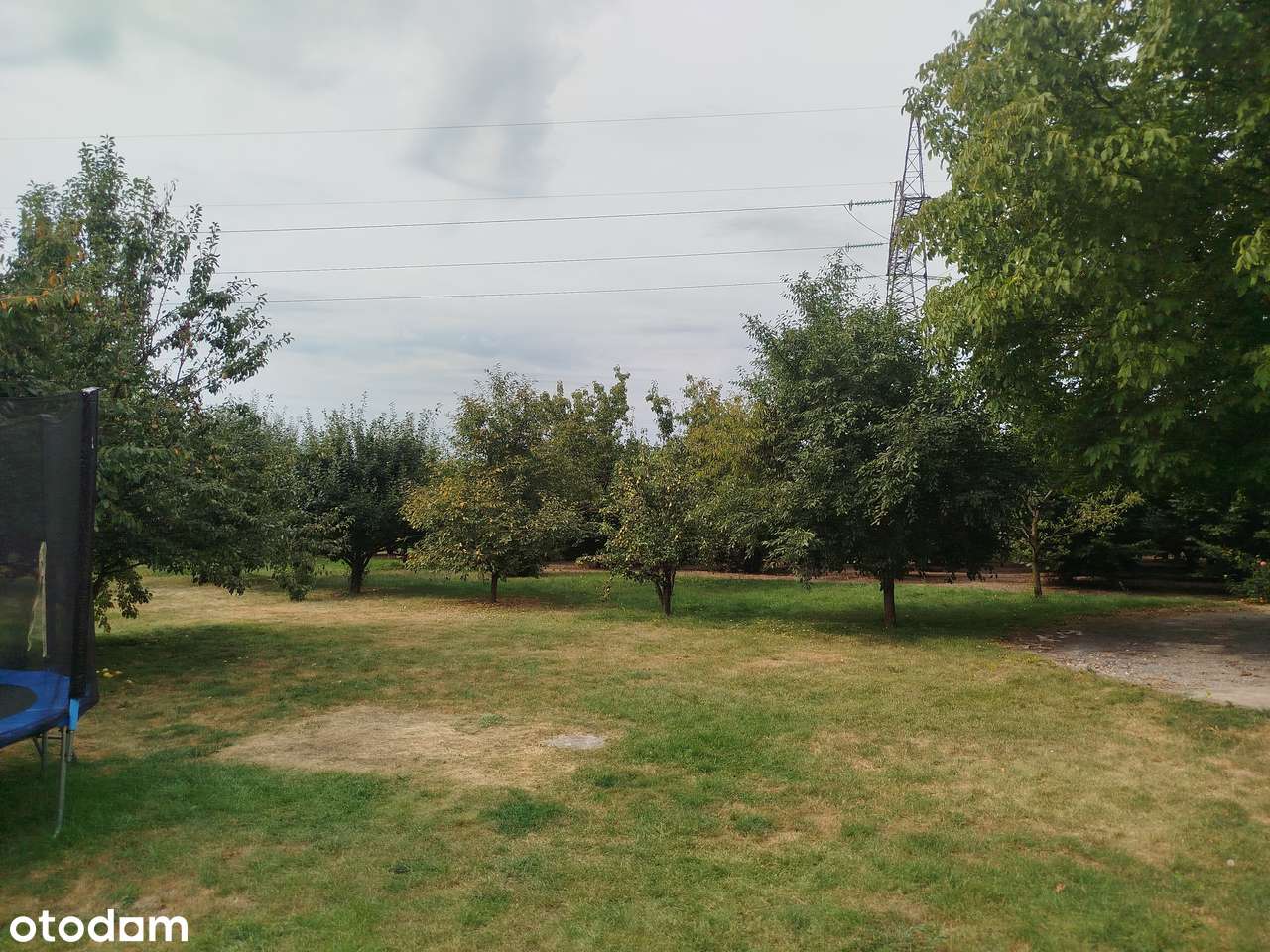 DZIAŁKA INWESTYCYJNA 8243 m² – OSTROWIEC ŚWIĘTOKRZYSKI, UL. OPATOWSKA-7