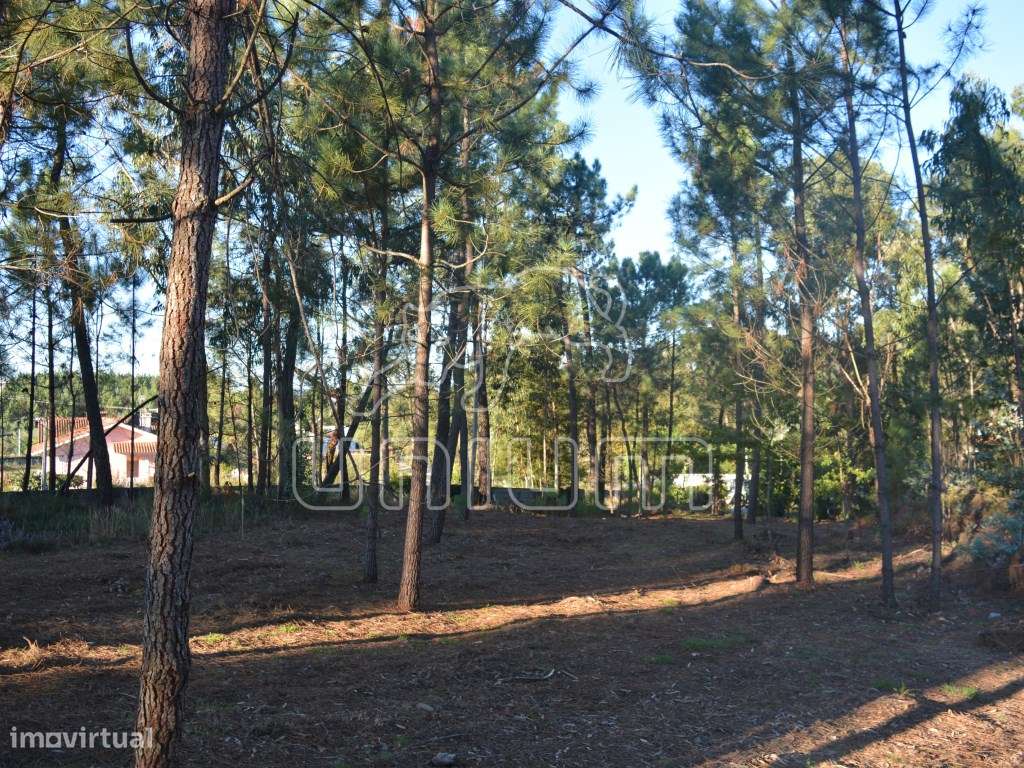 Terreno em São Salvador da Torre - Grande imagem: 2/5