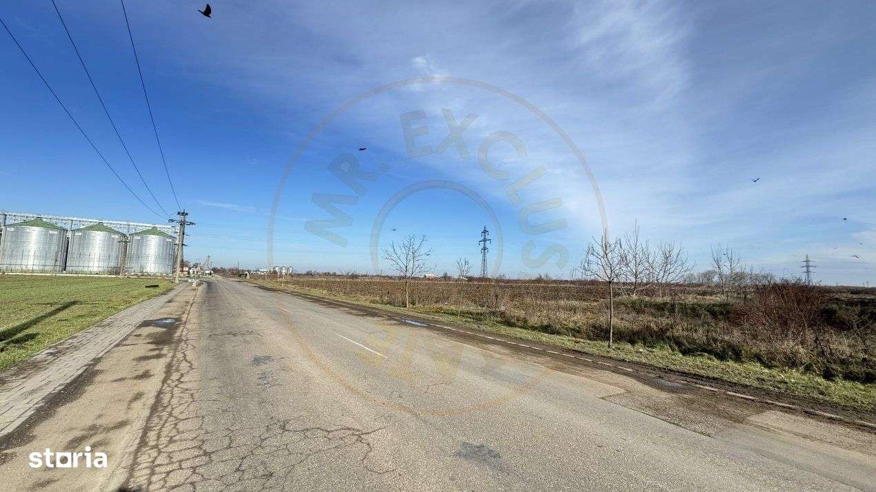 Teren Intravilan Industrial 13.164 mp, Zona Constantin Mille-Carei-Com - Imagine principală: 3/10