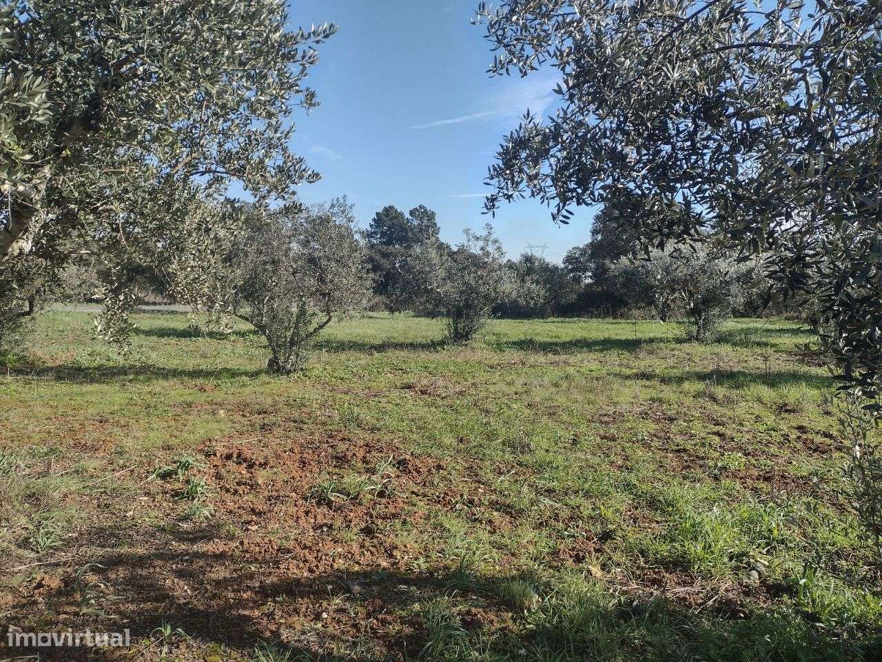 Terreno Rústico localizado em Fátima - Grande imagem: 4/13