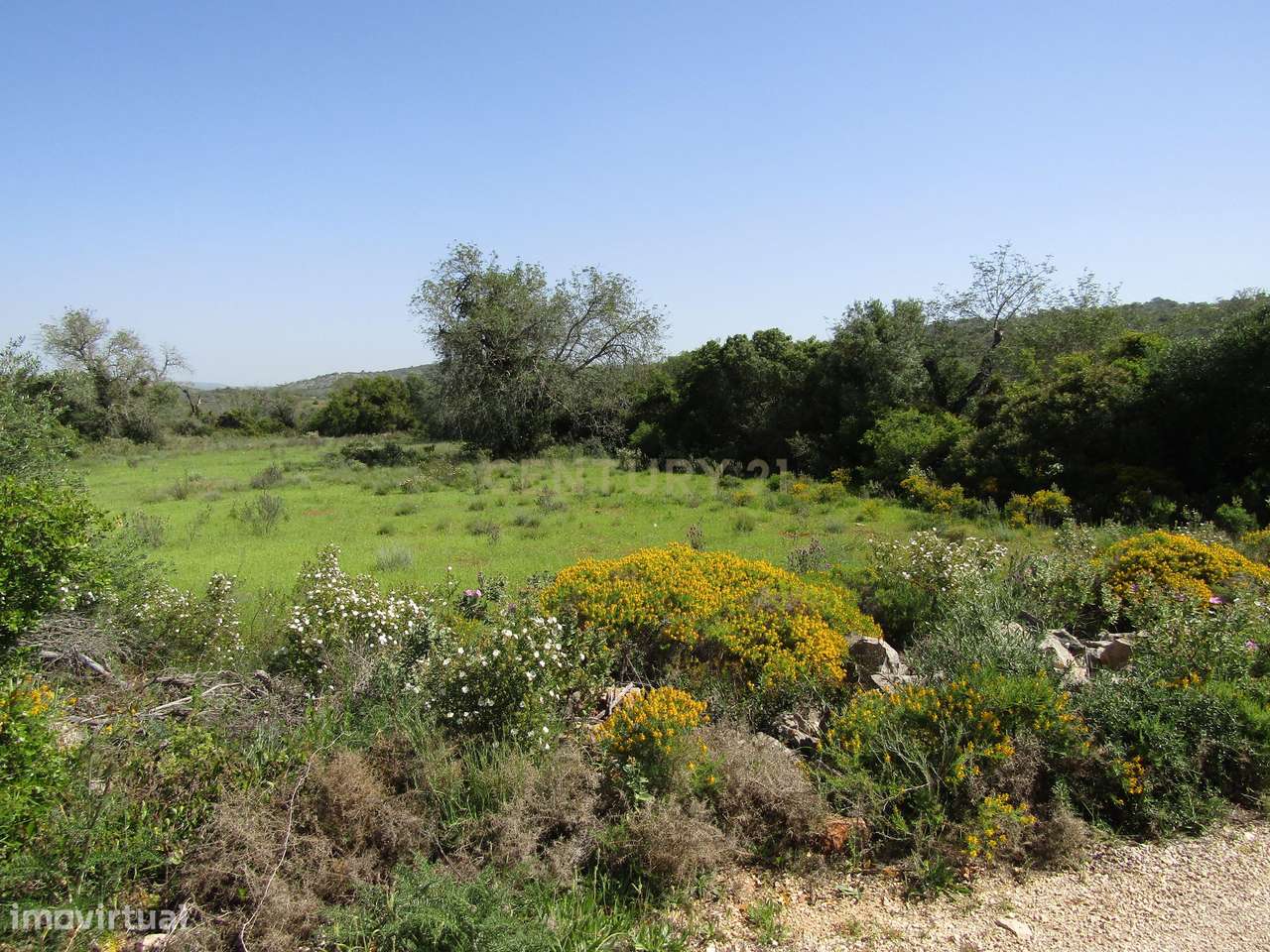 Terreno Rústico - Grande imagem: 3/3