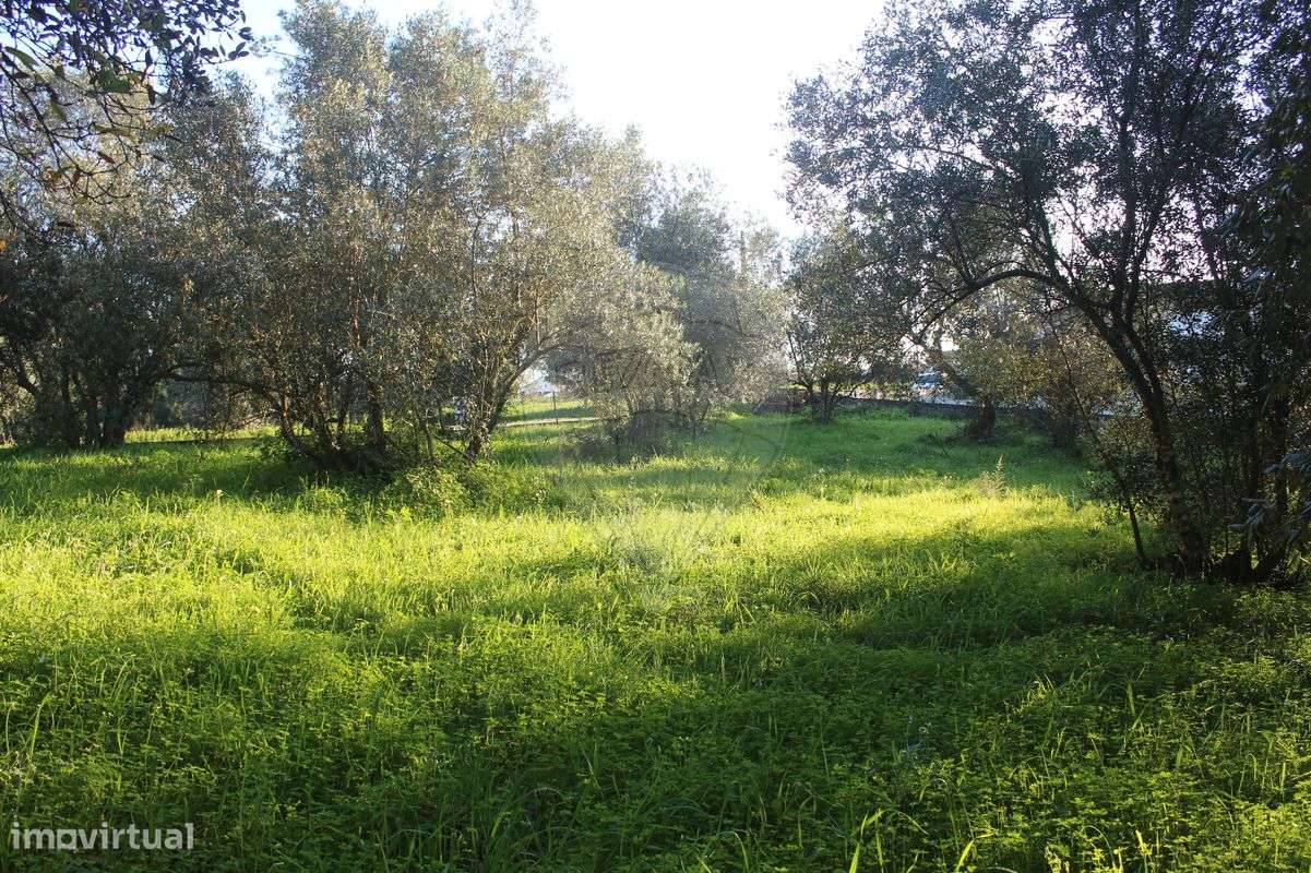 Terreno  para venda - Grande imagem: 5/8