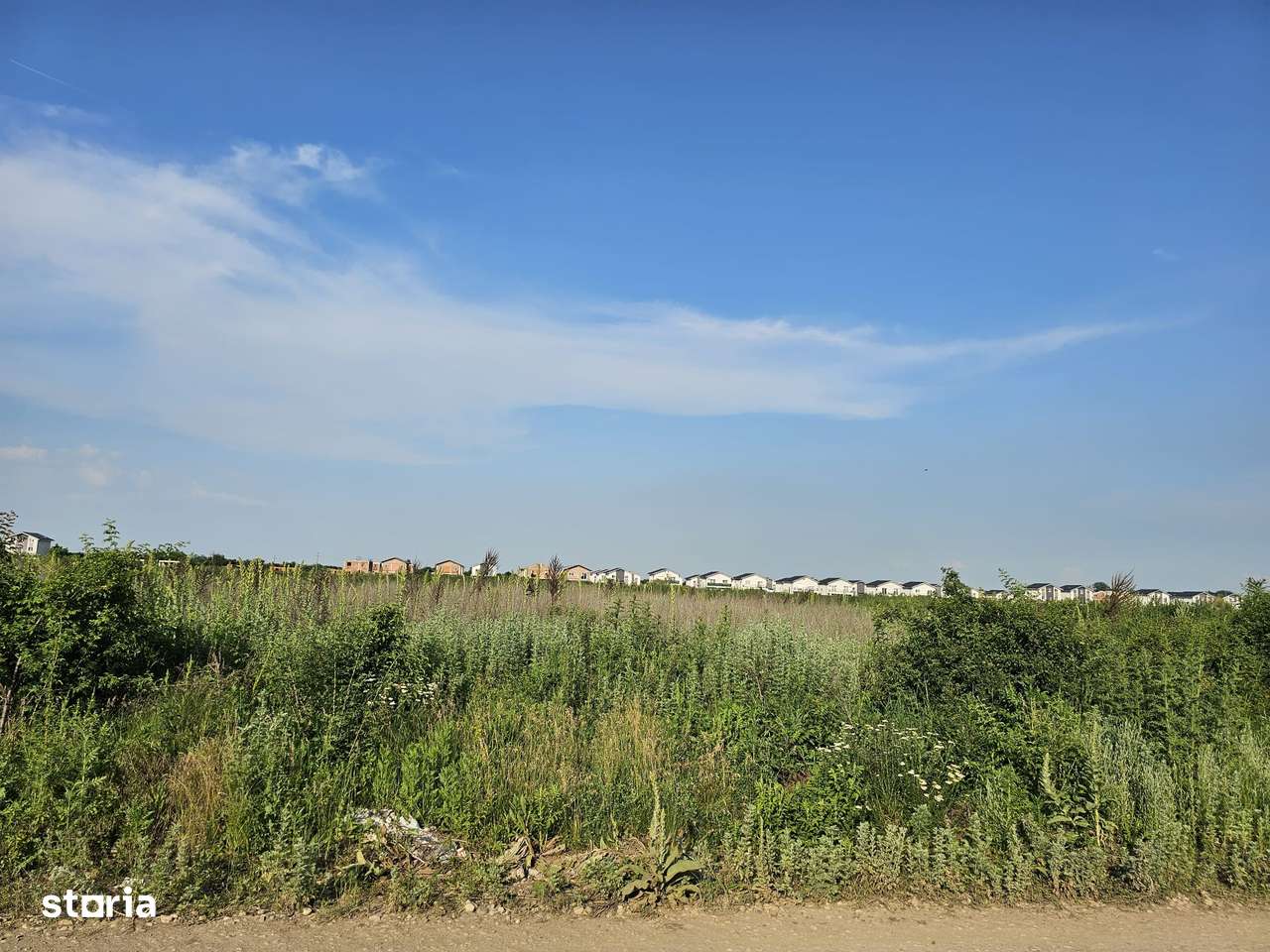 Otopeni-Ferme, teren intravilan 3.415mp, 46.65ml deschidere-5