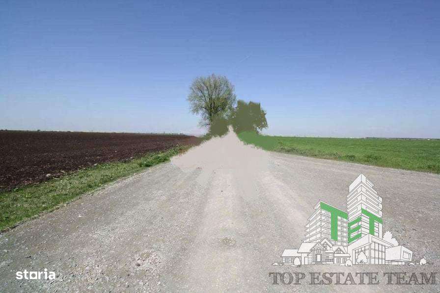 Teren  de vazare pt investitie, Sinesti, 4 eur  mp, 21000mp , Ialomita - Imagine principală: 4/4