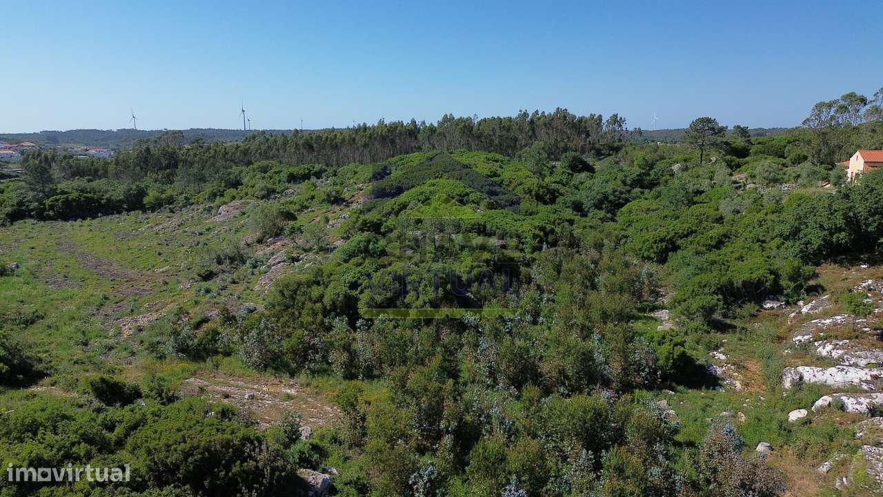Terreno Rústico c/ 16.520 m2 Reguengo Pequeno - Lourinhã-9