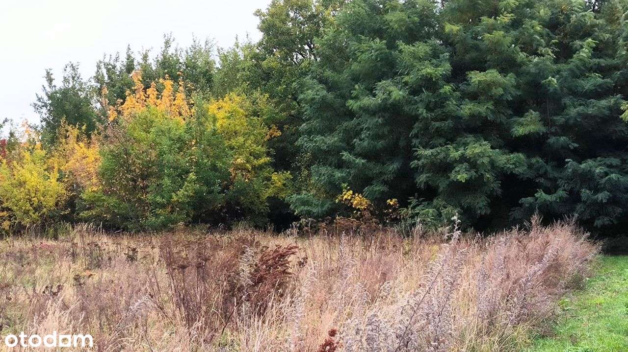 Działka inwestycyjna ok.5000m2.Super Lokalizacja-5
