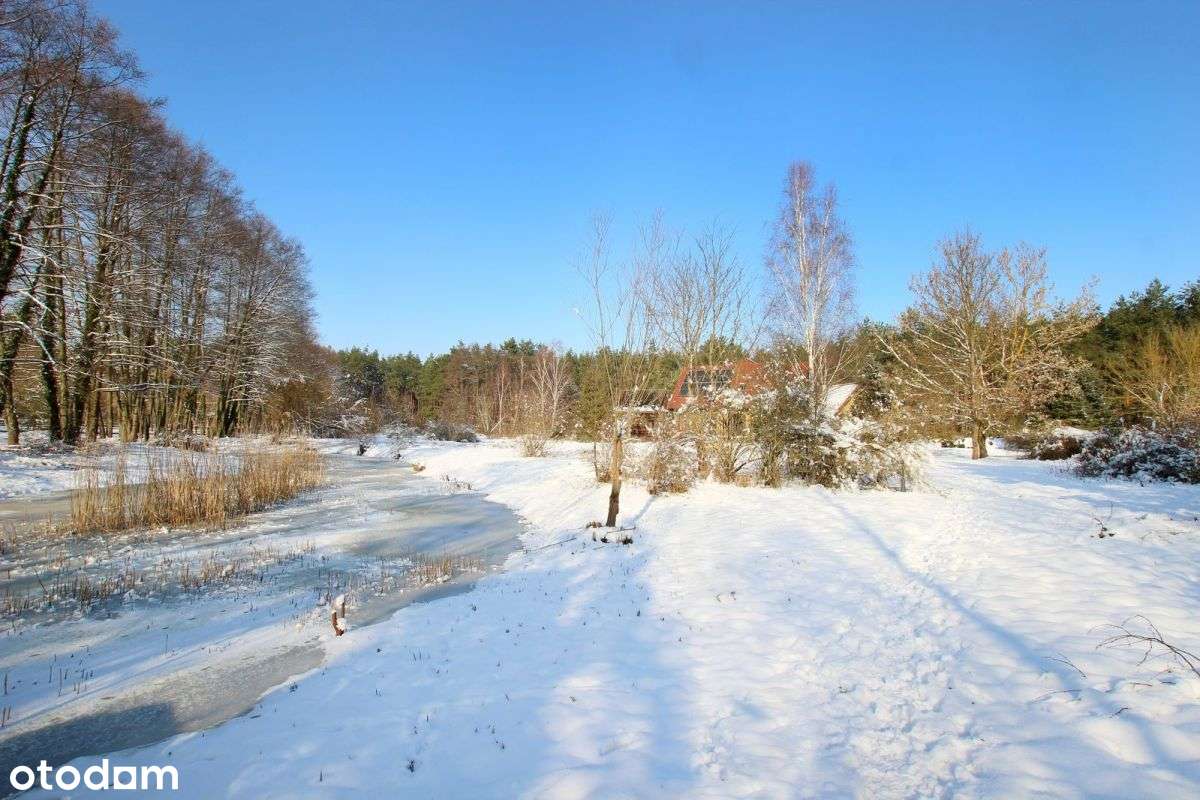 Posiadłość z własnym stawem z linią lasu | 1,9 ha - Pełny obrazek: 5/11