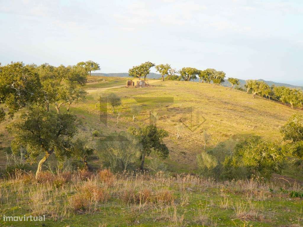 Terreno para Venda com 34 Hectares com Ruina na Serra de Grândola /...-14