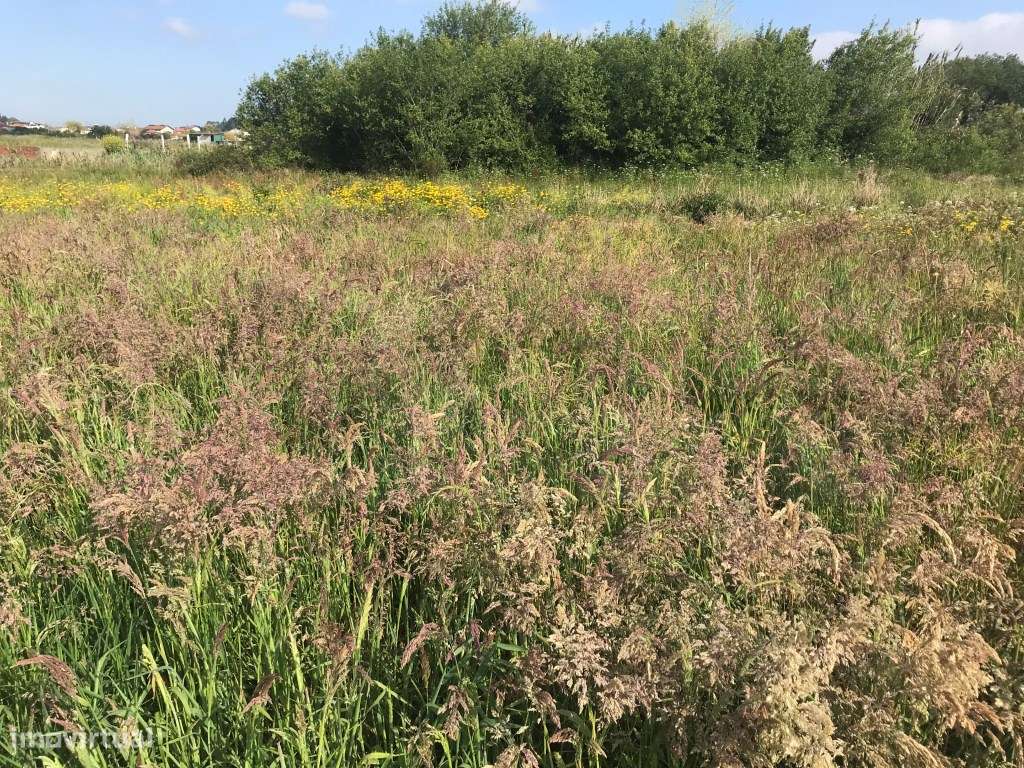 Terreno para construção de moradia - Estarreja - Grande imagem: 3/7