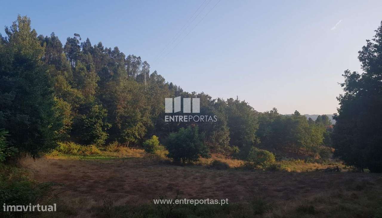 Venda Terreno, São Simão, Amarante - Grande imagem: 4/19