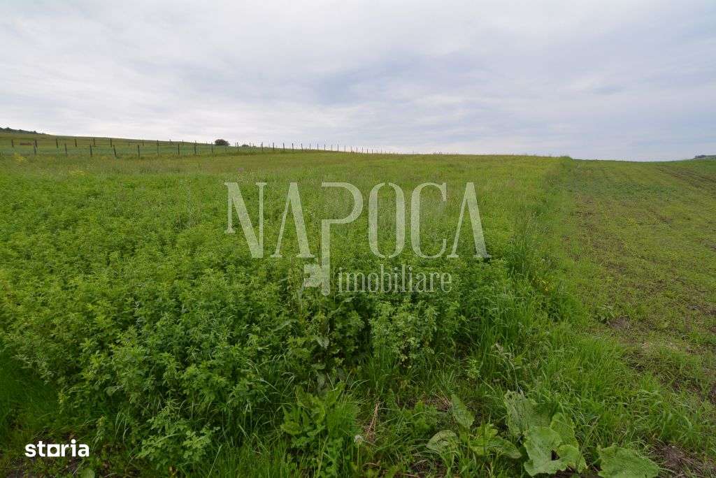 Teren extravilan pentru constructii de vanzare in Popesti - Imagine principală: 3/5