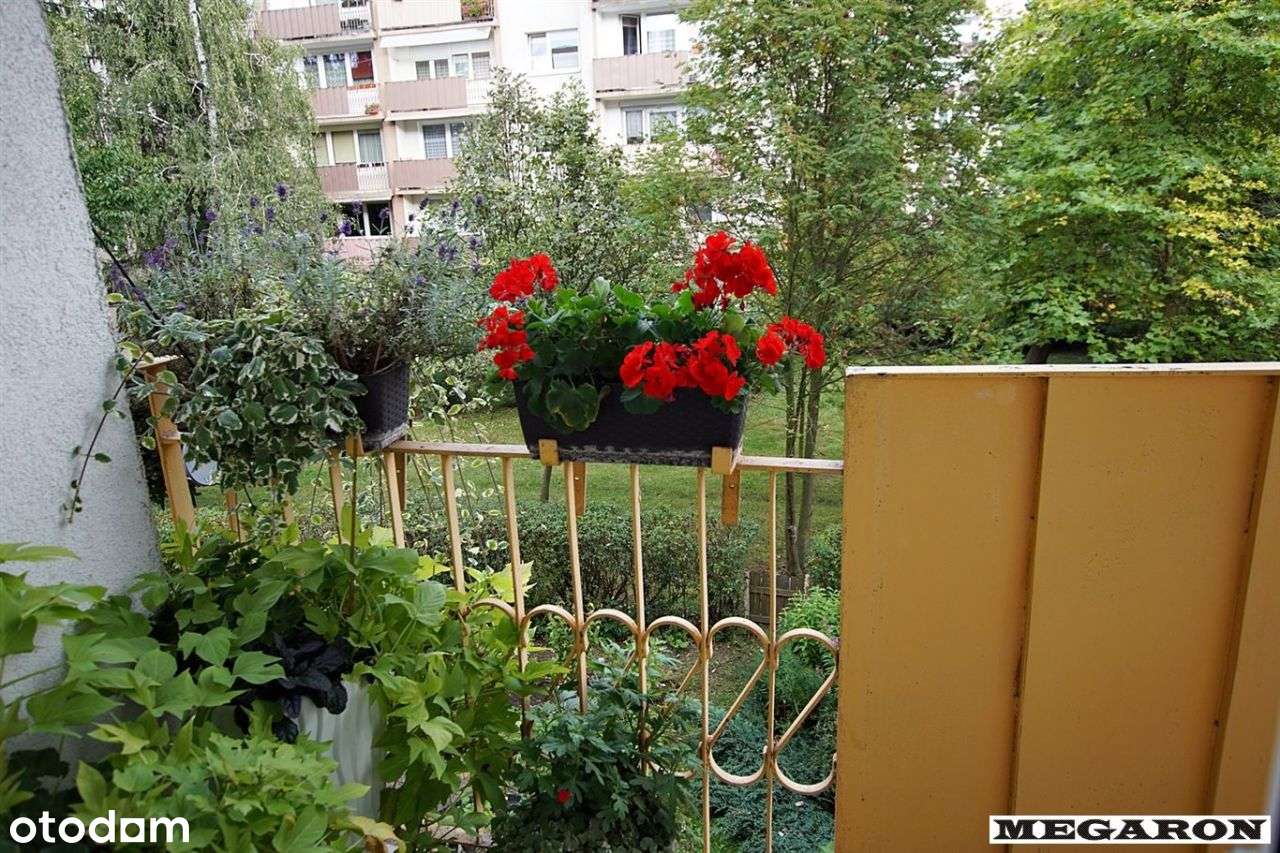 Komfortowe M-4 Częstochowa Północ-16