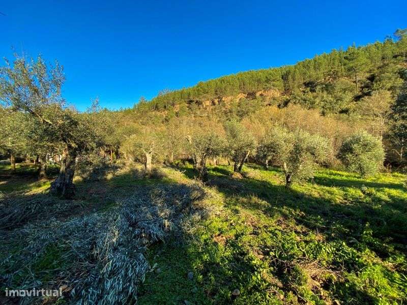 Terreno - Grande imagem: 5/17