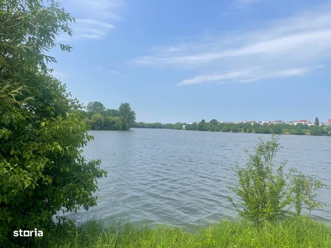 Damaroaia -Coralilor Deschidere Lac Grivita-0