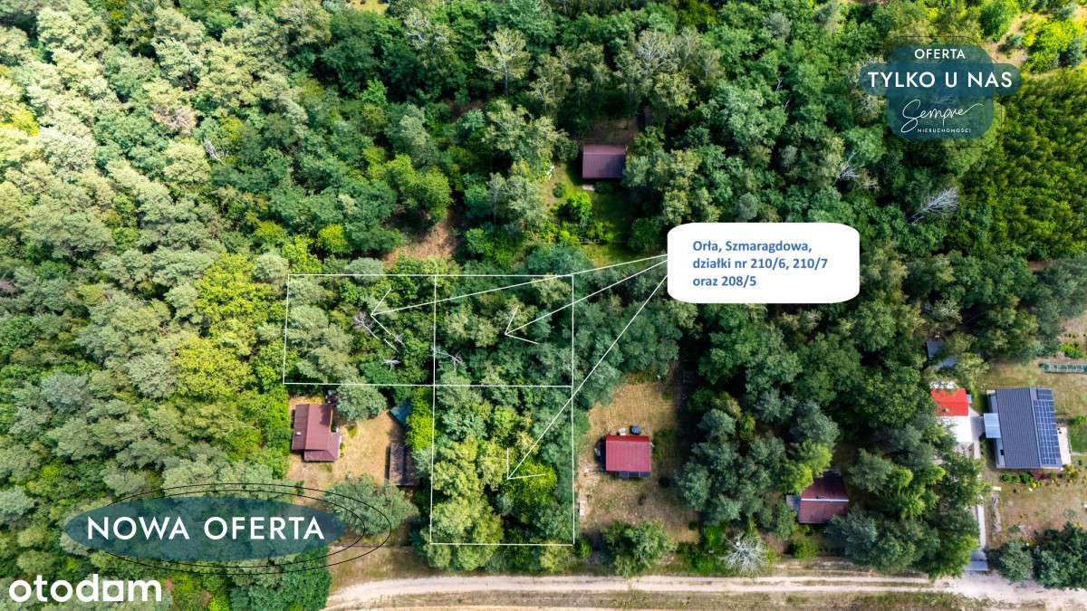 Leśna enklawa pod zabudowę - Pełny obrazek: 1/10