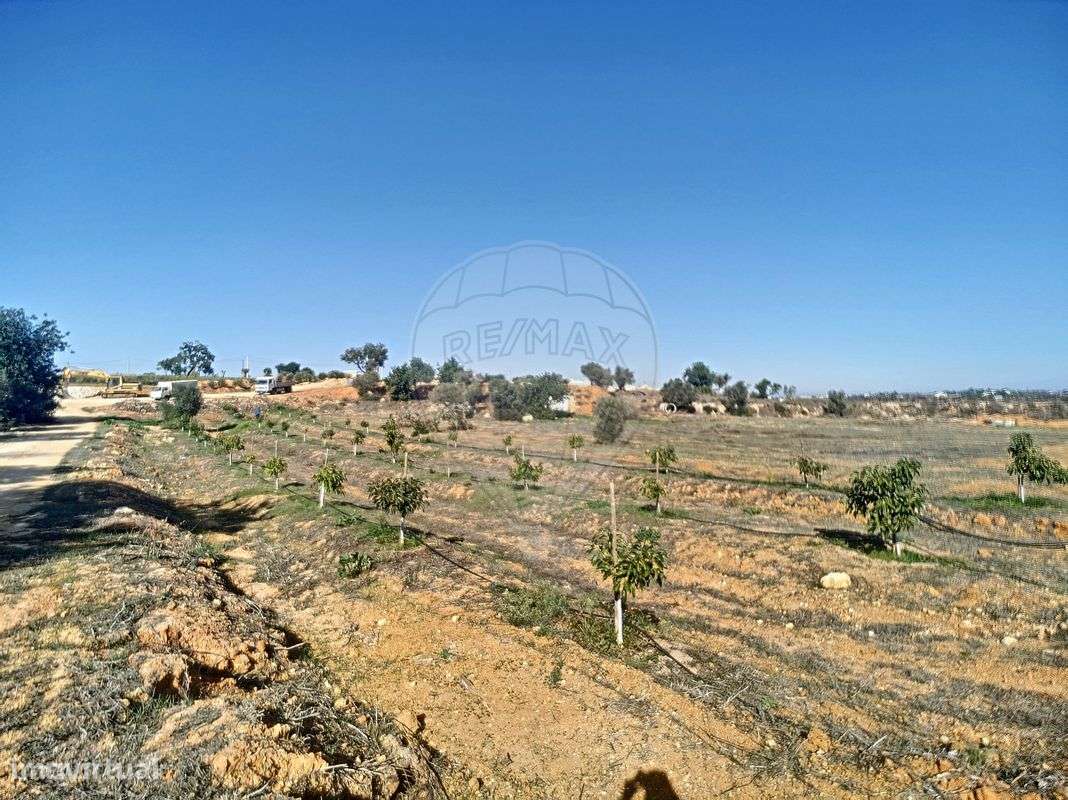 Quinta  para venda-25