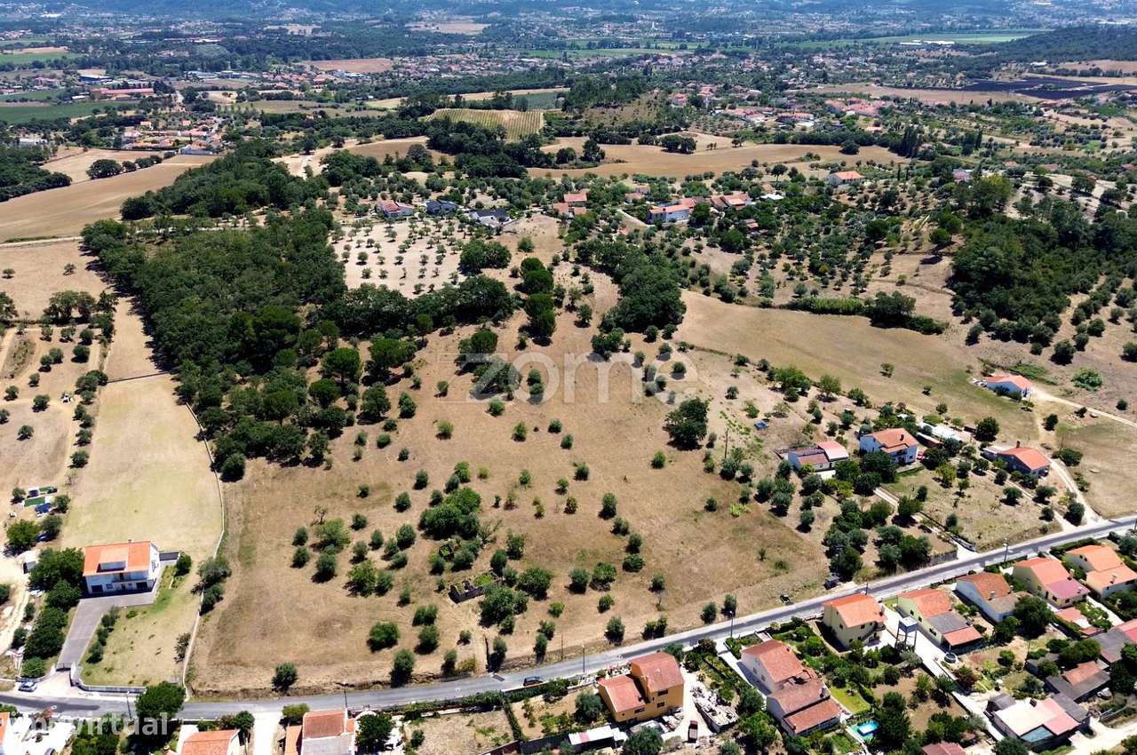 Terreno misto com 3,8 hectares em Tomar - Grande imagem: 4/24