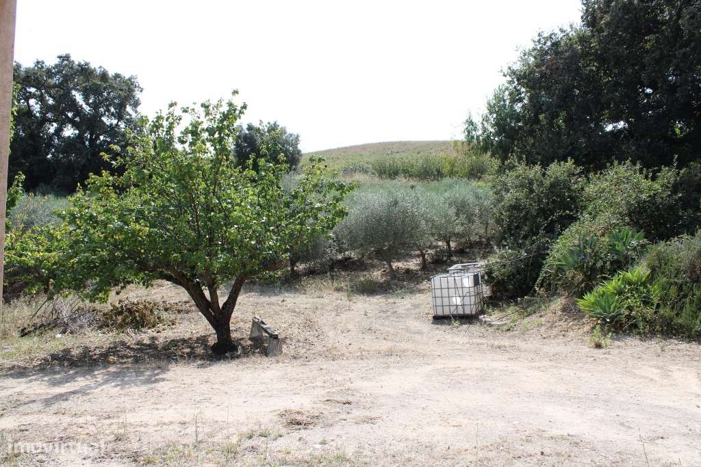 Quinta em Alenquer - Grande imagem: 5/22