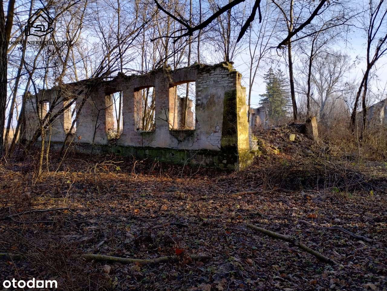 1800 m2 - działka budowlana pod lasem. - Pełny obrazek: 5/6