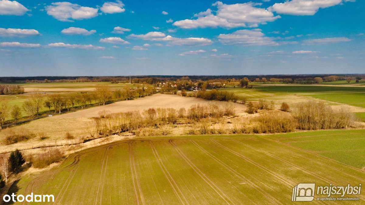 Maszewo-Jenikowo działka 2 ha - Vista 2