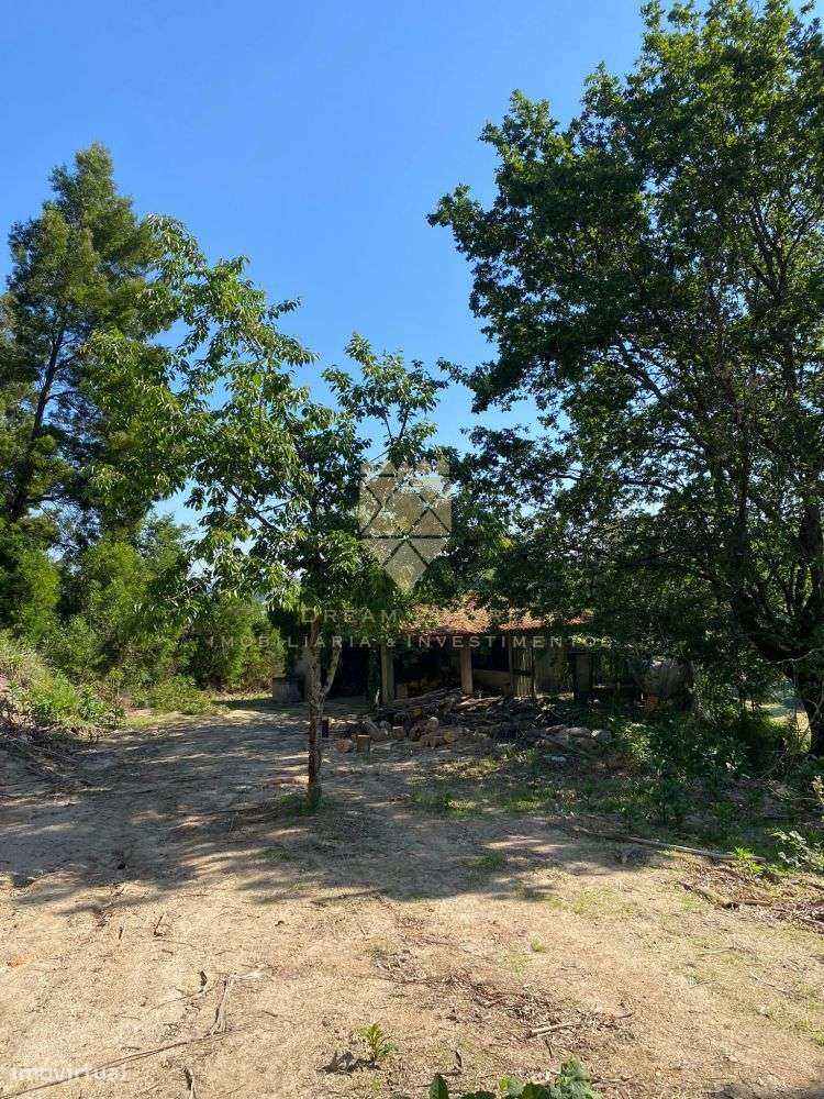 Quinta de Paço de Sousa – Tradição, Natureza e Potencial em Harmo-27