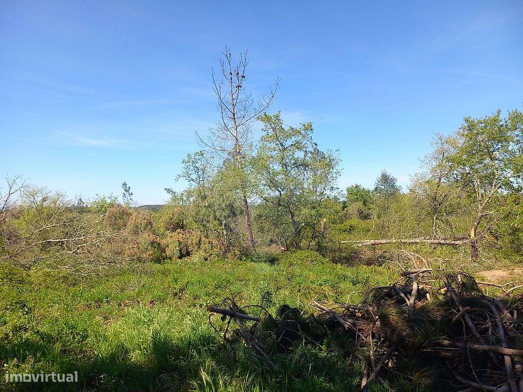 Moradia T3 para venda - Grande imagem: 5/11