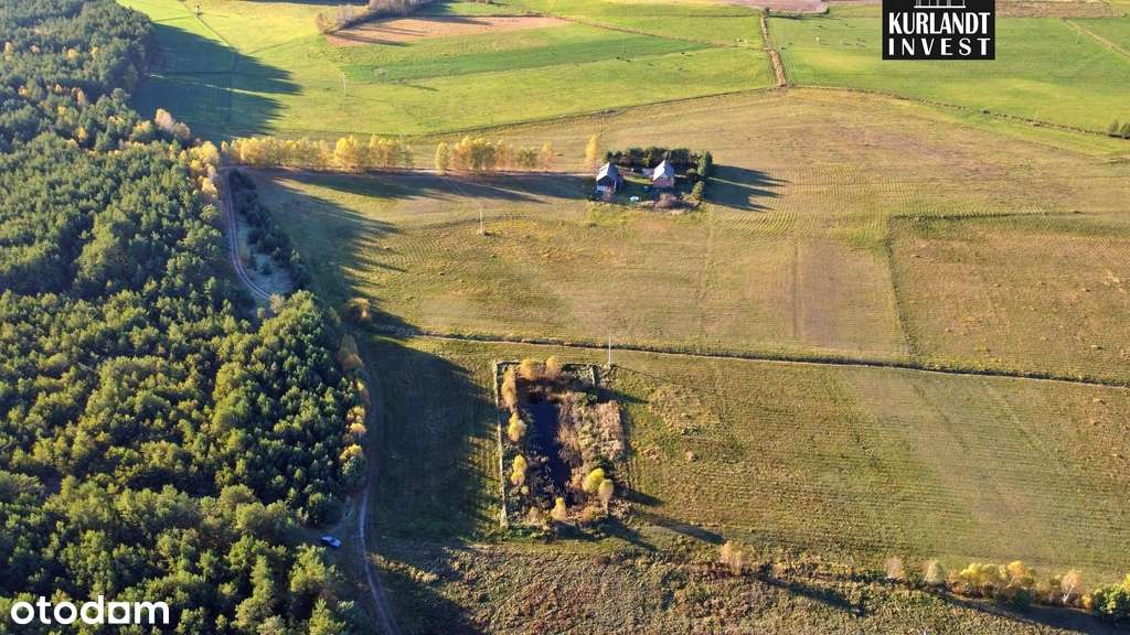 Siedlisko 13 ha Brzozie Bory Tucholskie - Pełny obrazek: 4/4