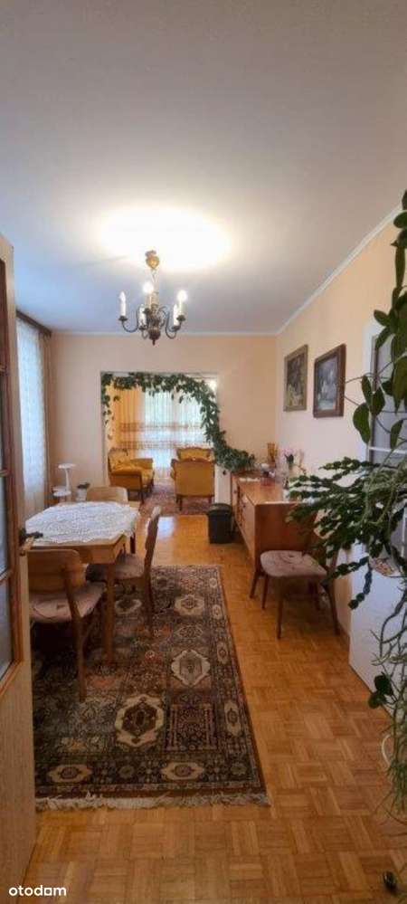 Dom z potencjałem - dwa poziomy, piękna działka, świetna lokalizacja!-6