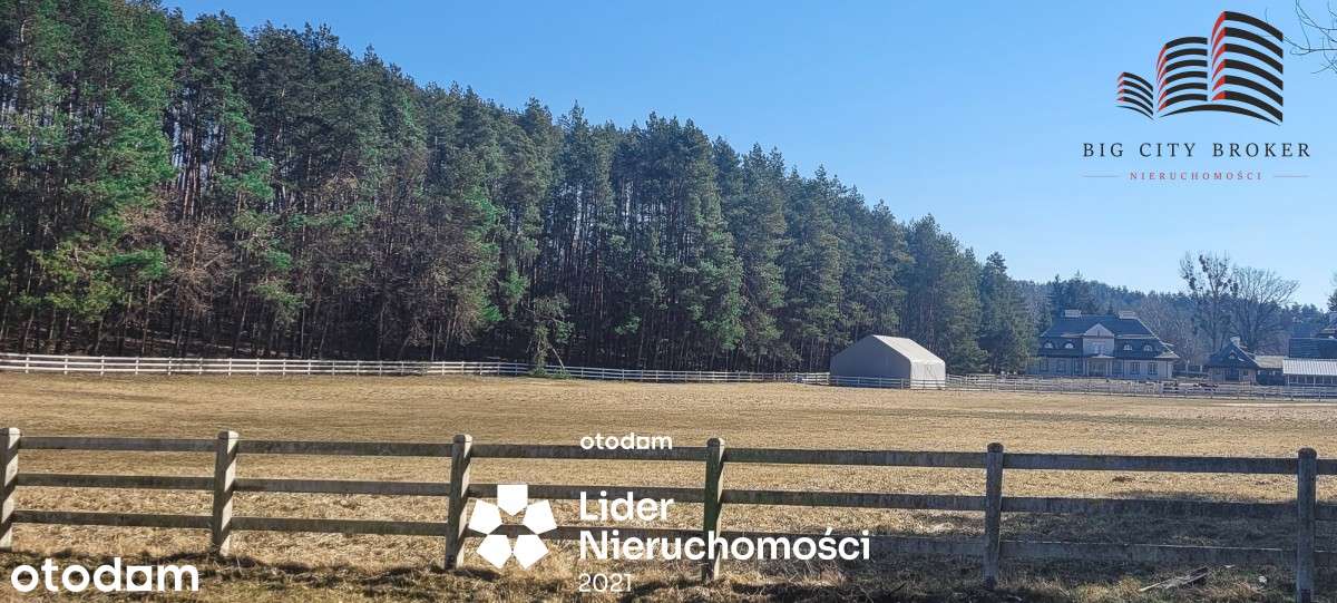 Piękna działka 2ha z lasem 50ar - Pełny obrazek: 4/5