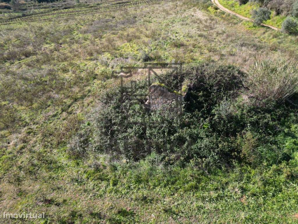 Excelente Terreno para Construir a Sua Quintinha de Sonho! - Grande imagem: 5/8