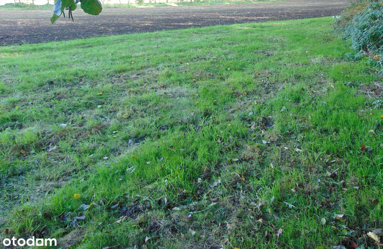 Działka rolno-budowlana w Zielonej Górze pod budowę domów.-2